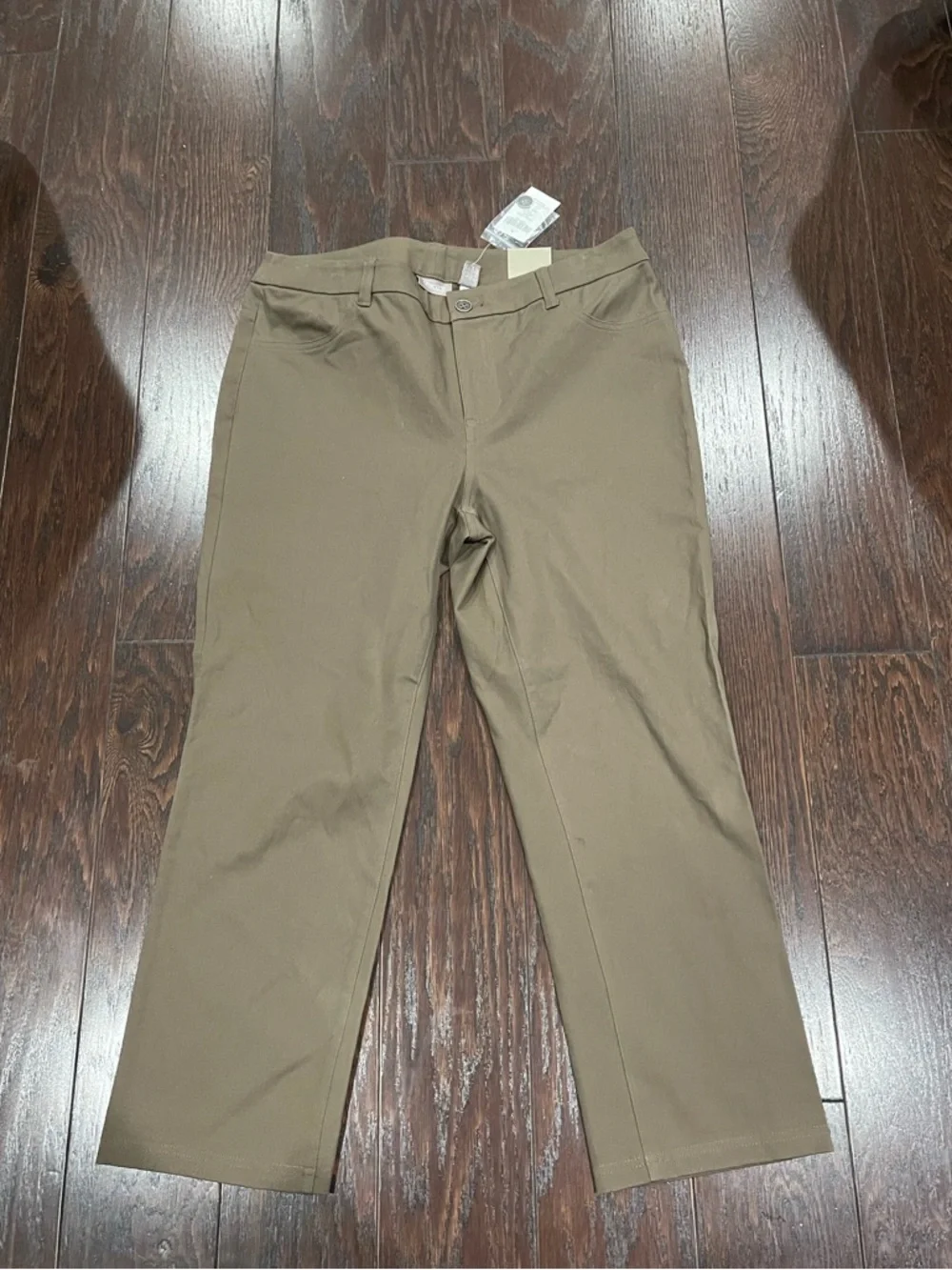 Chicos Capital Stretch Alberta Cropped Pant Cairo Size 10 (1.5) NEW